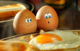 عکس خفن نگاه مظلومانه تخم مرغ ها به نیمرو