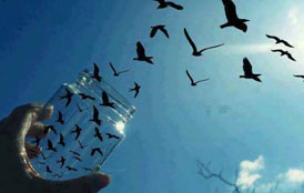 عکس خفن خلاقیت با ظرف شیشه ای و پرواز پرنده ها